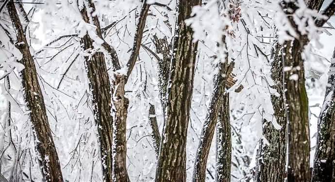 雪韵张家界