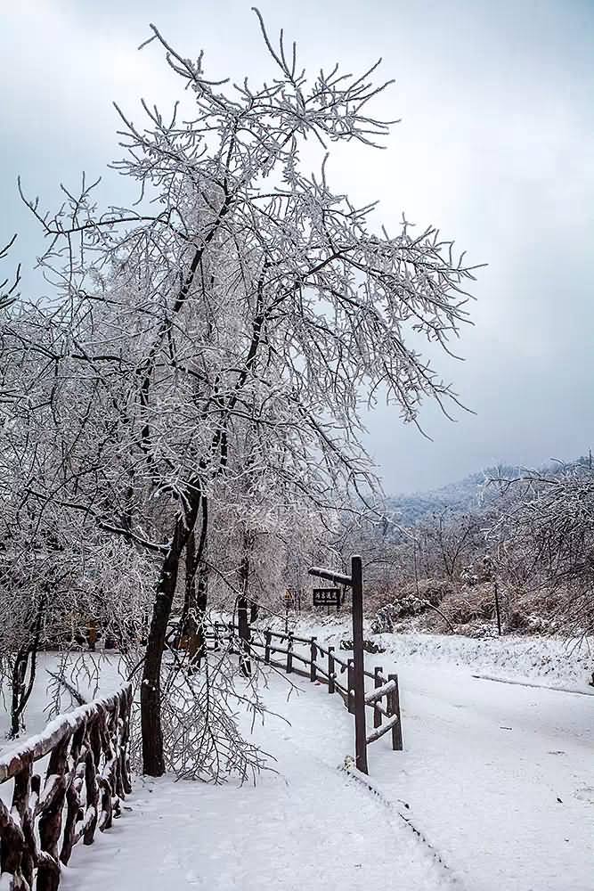 雪韵张家界