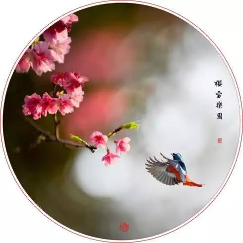 人生的诗意