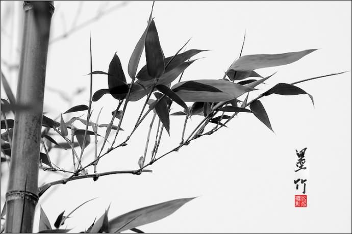 20150422_211646_108