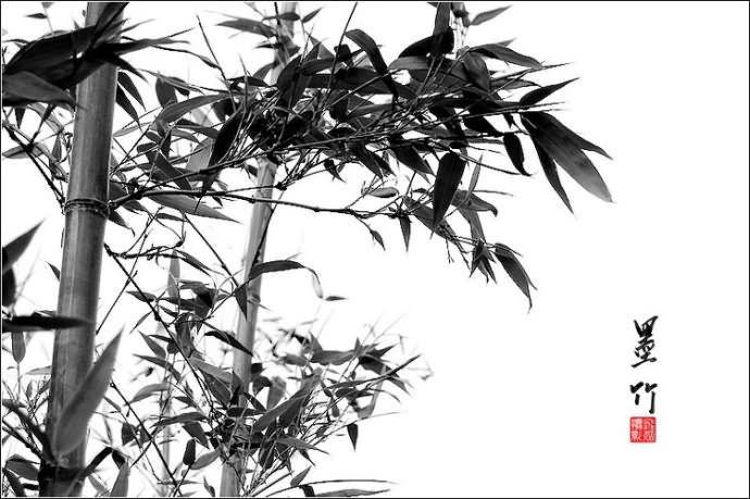 20150422_211646_109