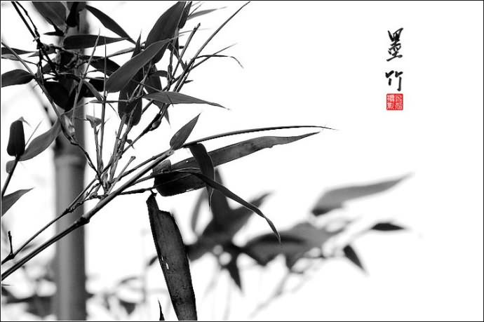 20150422_211646_110