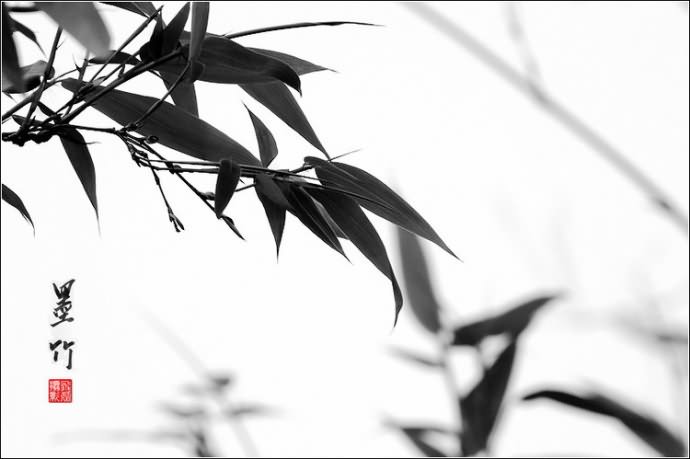 20150422_211646_113