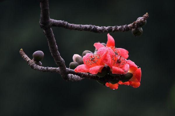 20150514_195930_185