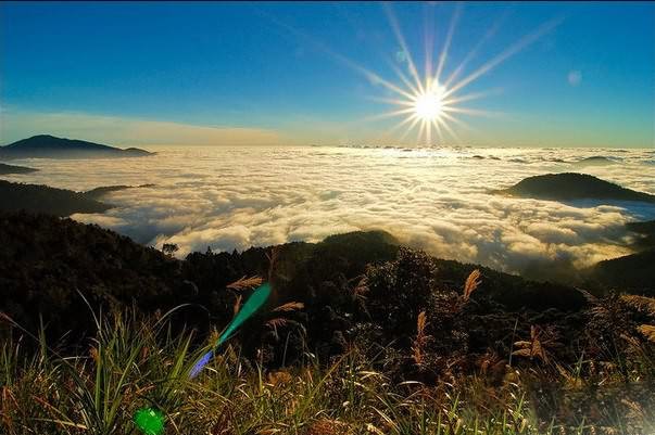 云海山间景色，台湾阿里山