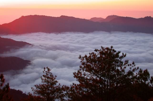 云海山间景色，台湾阿里山