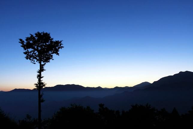 云海山间景色，台湾阿里山