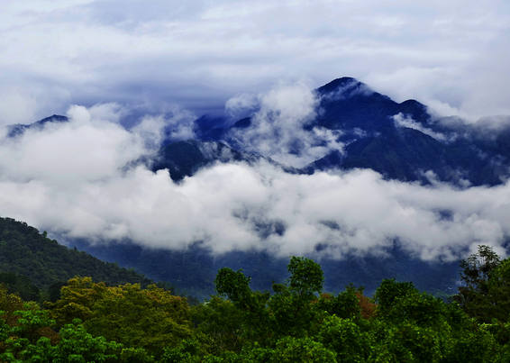 云海山间景色，台湾阿里山