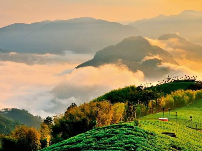 云海山间景色，台湾阿里山