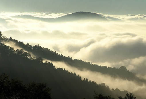 云海山间景色，台湾阿里山