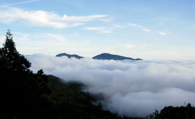 云海山间景色，台湾阿里山