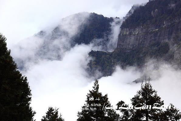 云海山间景色，台湾阿里山