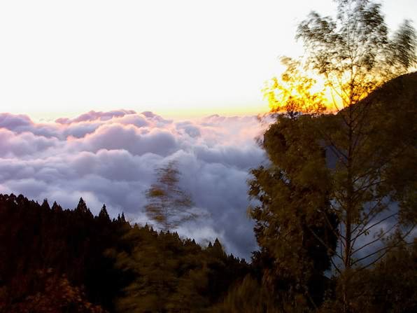 云海山间景色，台湾阿里山