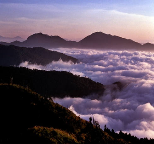 云海山间景色，台湾阿里山