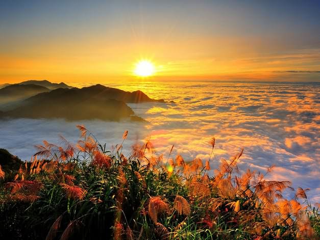 云海山间景色，台湾阿里山