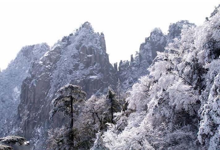 黄山峰雪美