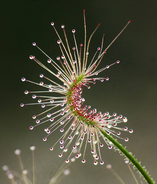 花花自美