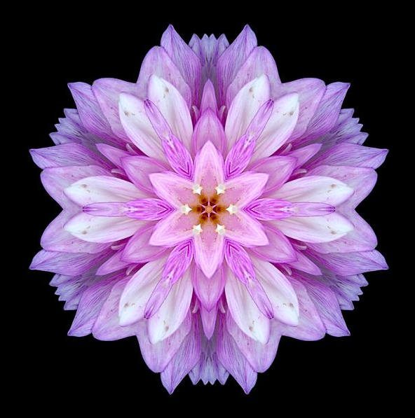 花花自美