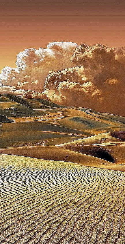 沙漠景