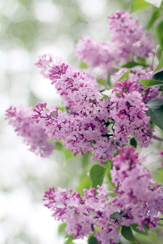 �� ������