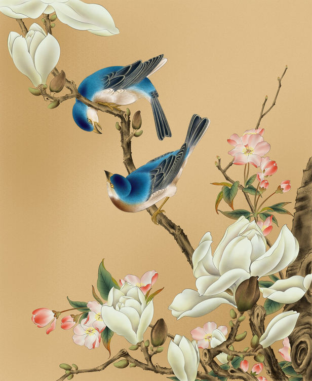 ʻ
