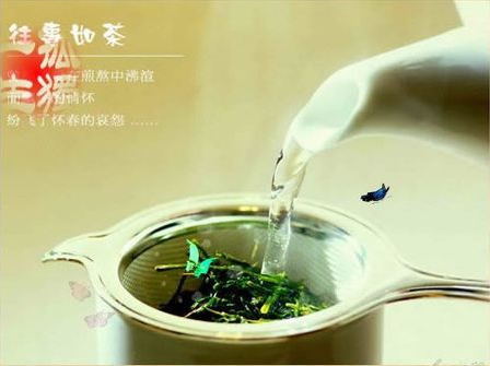 Rose【往事如茶,茶去留香】(6578) - 沧海之水 - 沧海之水的博客 2016-06-17_091553