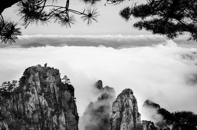 黄山奇石景观，猴子观海