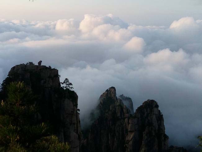 黄山奇石景观，猴子观海