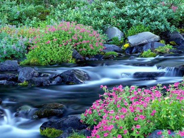 不计较,也有大境界_疏影暗香傲雪梅