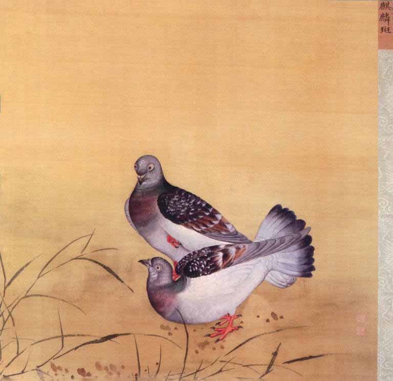 工笔珍禽鹑鸽谱故宫馆藏