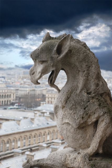 ����-��� �� ���� �������