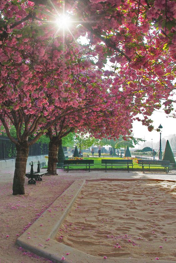 ����-��� �� ���� �������