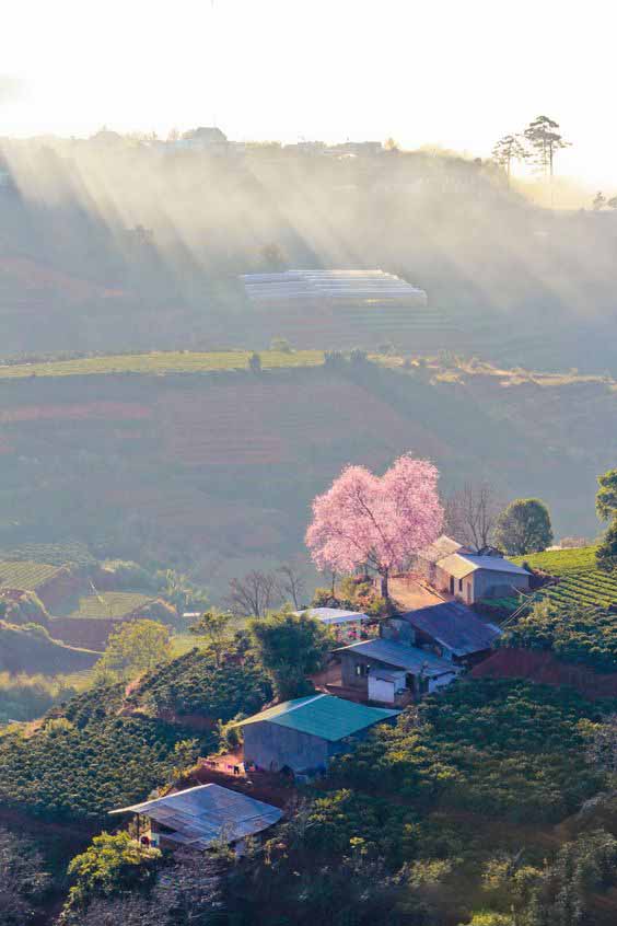 越南周边景彩