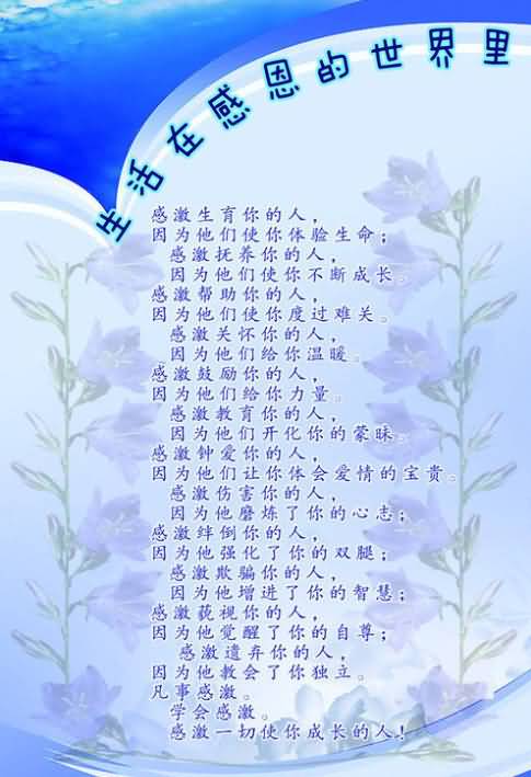 看知通解佛说爱情幸福取舍典藏版