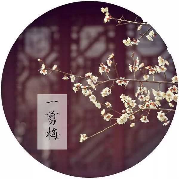 懂你何需千言万语