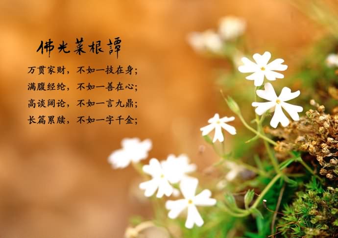 图文佛光菜根谭