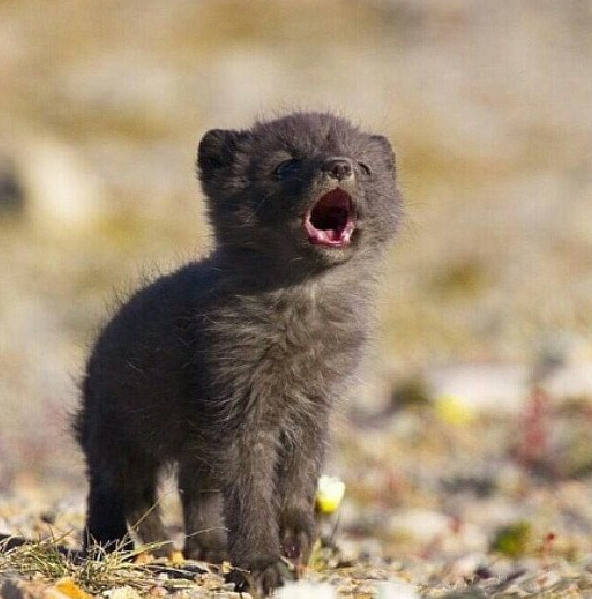 给面小站geimiancom