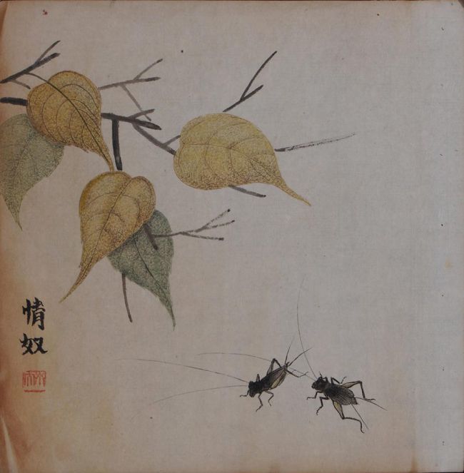 齐白石工笔草虫