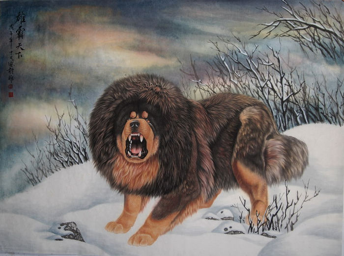 藏獒画