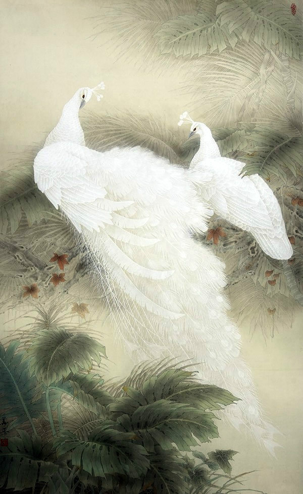 工笔孔雀