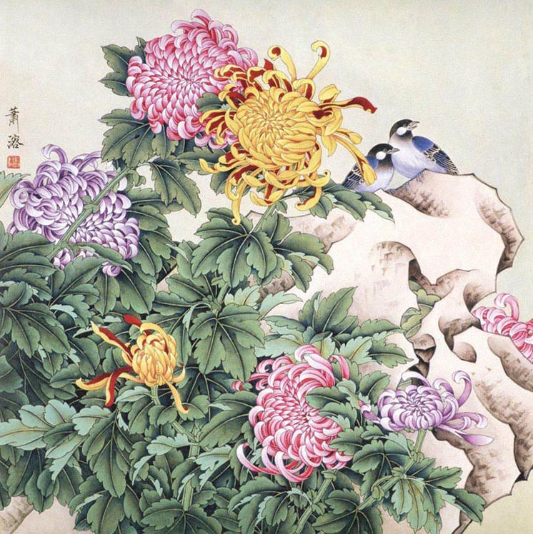 菊花画