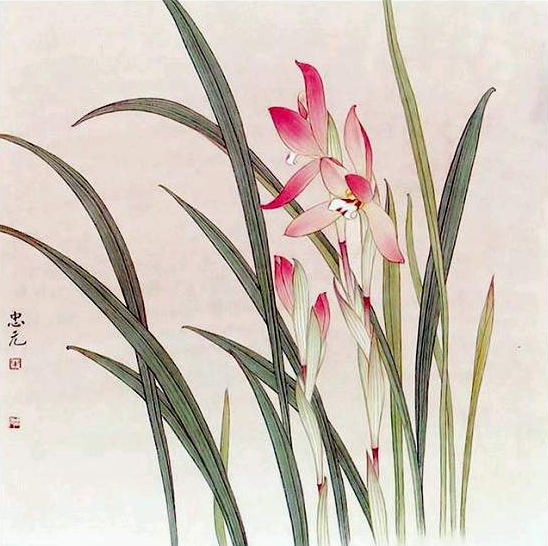 兰花图