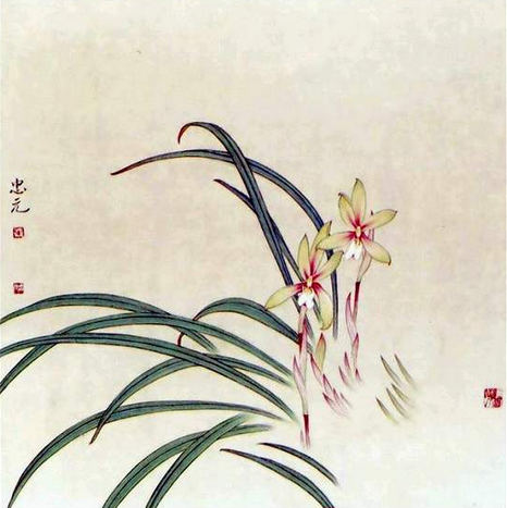 蘭花圖