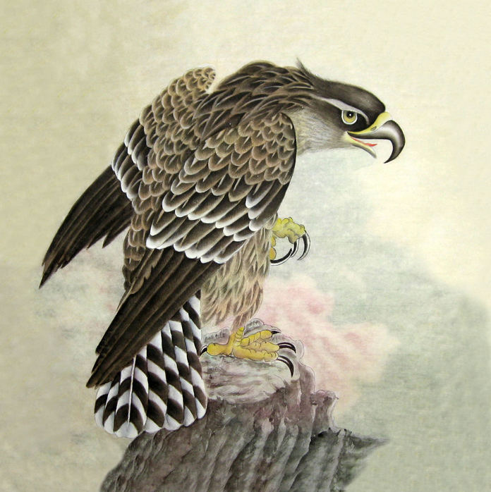 展翅飞鹰画