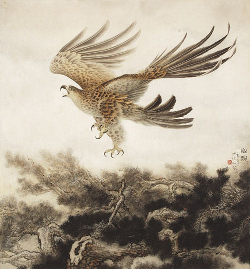 展翅飞鹰画