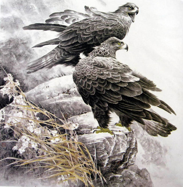 展翅飞鹰画