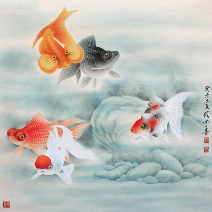 金鱼画