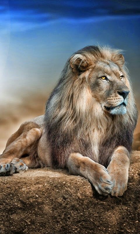 给面小站geimiancom