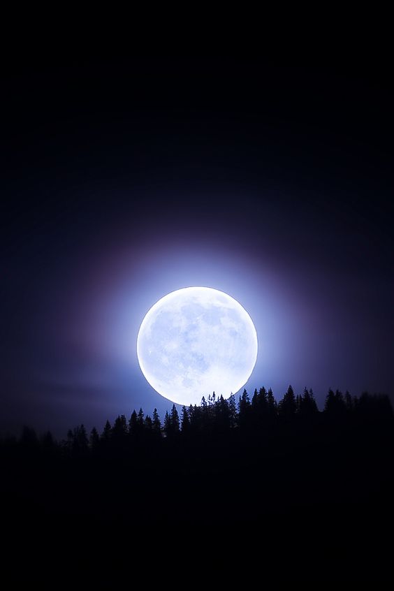 月亮即景图片