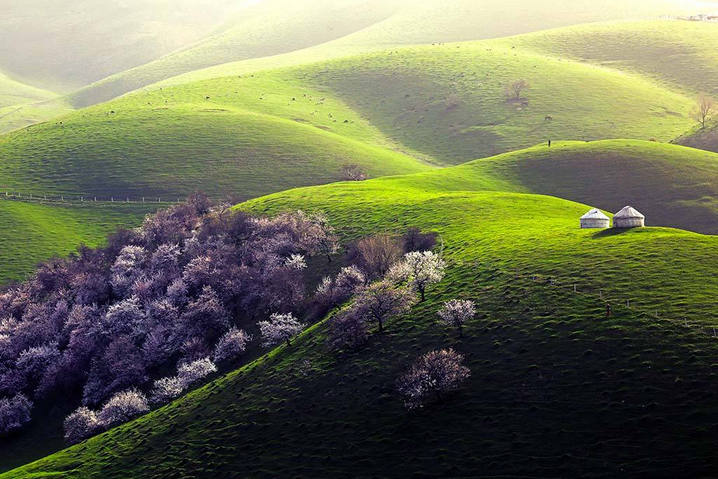 伊犁杏花沟景彩